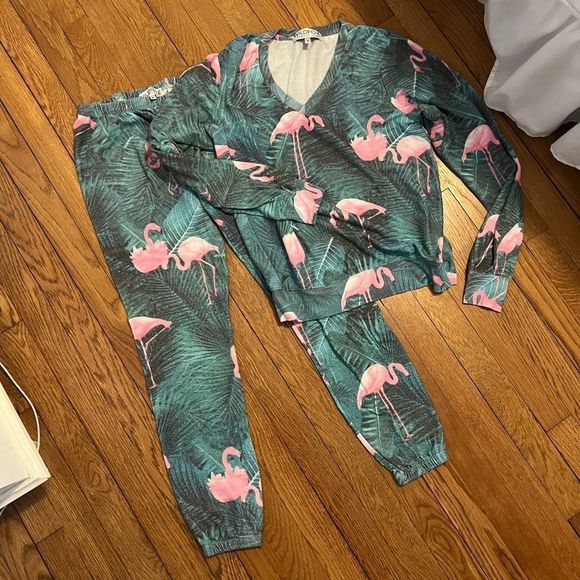 Wildfox Pants - Wildfox Miami Palms Sweatsuit set size Small - Baggy beach jumper + Knox pants